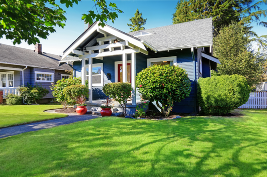 The Ultimate Guide to Maintaining Curb Appeal Year-Round
