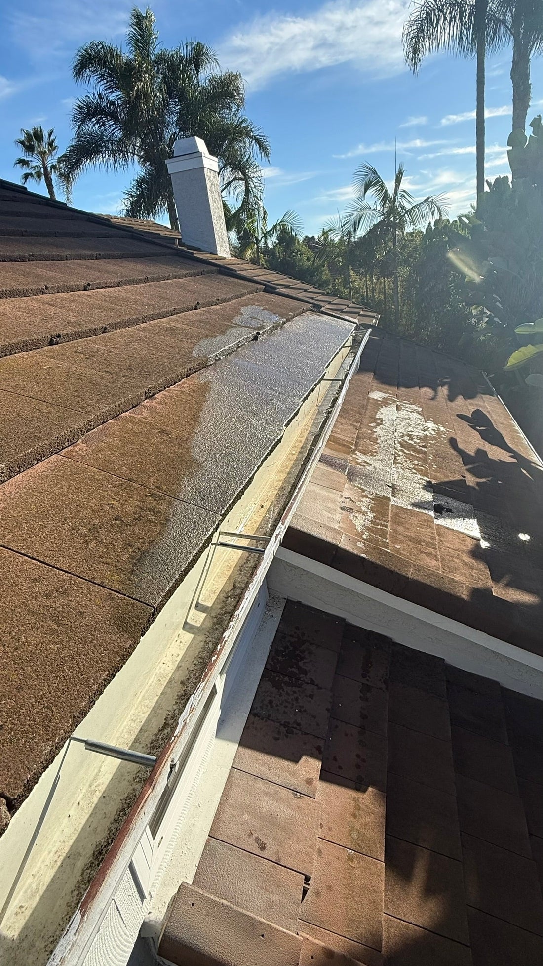 Gutter Cleaning in San Diego, CA: Why It Matters and How to Get It Done Right